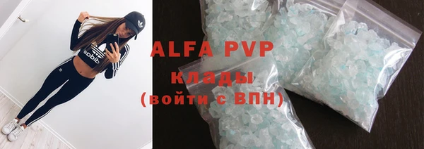 индика Нефтекумск