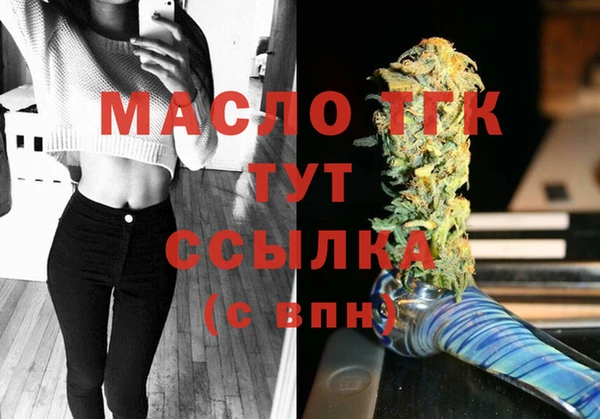 индика Нефтекумск