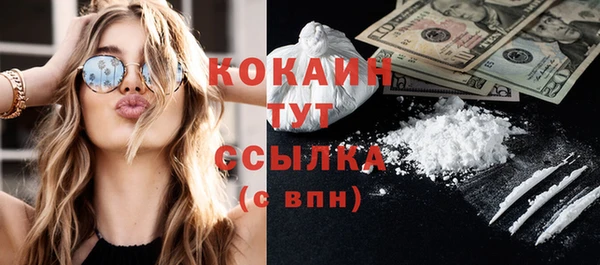 индика Нефтекумск