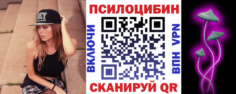 Псилоцибиновые грибы Cubensis  blacksprut вход  Черногорск 